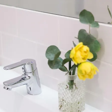 Belo Sao Bento 公寓