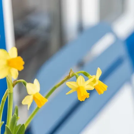 Apartamento Belo Sao Bento Oporto