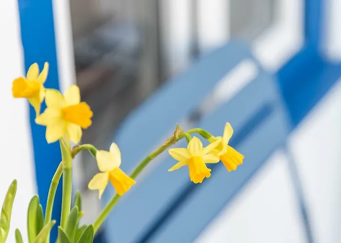 Appartamento Belo Sao Bento Oporto